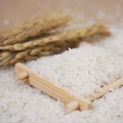 【武汉.东西湖】武供优选营养供米大米5kg 商品图3