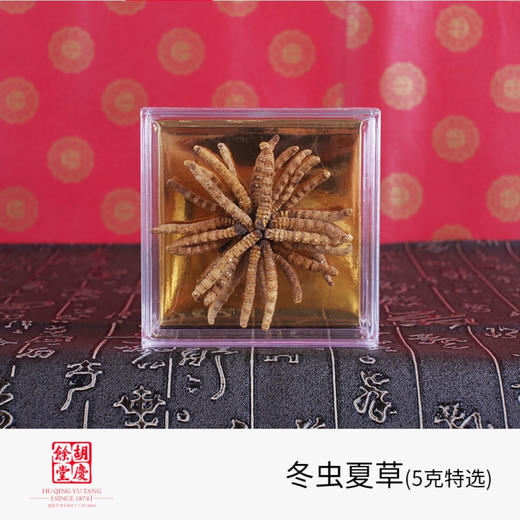 胡庆余堂 冬虫夏草5g特选 商品图0