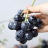 生态巨峰葡萄（珠海片区） | 合作生产*Organic Kyoho grapes | Coproduction 商品缩略图0