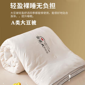 A类全棉大豆纤维被子冬被春秋被夏季空调被夏凉被芯四季通用单人双人棉被