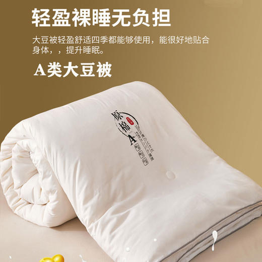 A类全棉大豆纤维被子冬被春秋被夏季空调被夏凉被芯四季通用单人双人棉被 商品图0