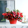 （10款可选）百合红掌鲜花生日节日瓶花婚庆乔迁礼品鲜花开业商务 商品缩略图5