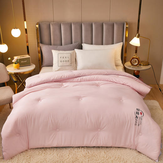 A类全棉大豆纤维被子冬被春秋被夏季空调被夏凉被芯四季通用单人双人棉被 商品图9