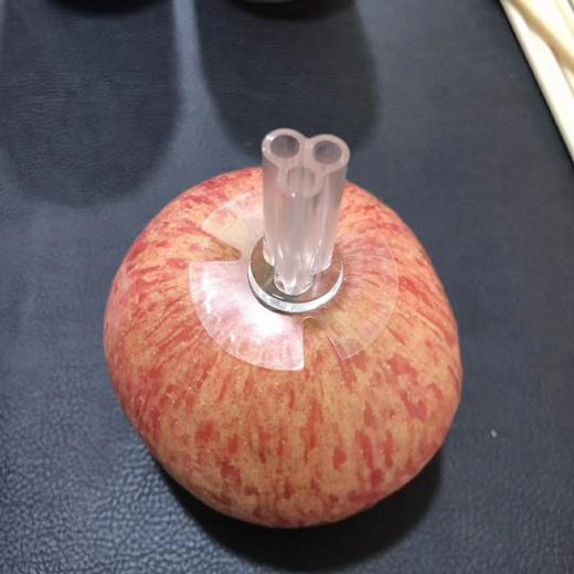 花艺胶托，强力胶托 商品图5