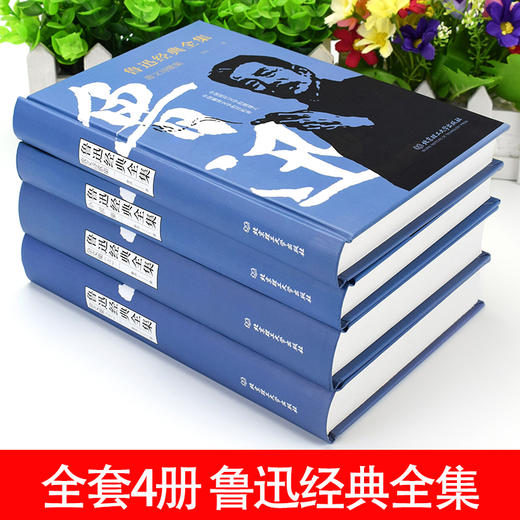 鲁迅小说全集4册 诗歌集杂文作品集无删减原著经典必读书籍小学生鲁迅读本朝花夕拾呐喊正版散文大全集中国现代文学精选精装完整版 商品图1