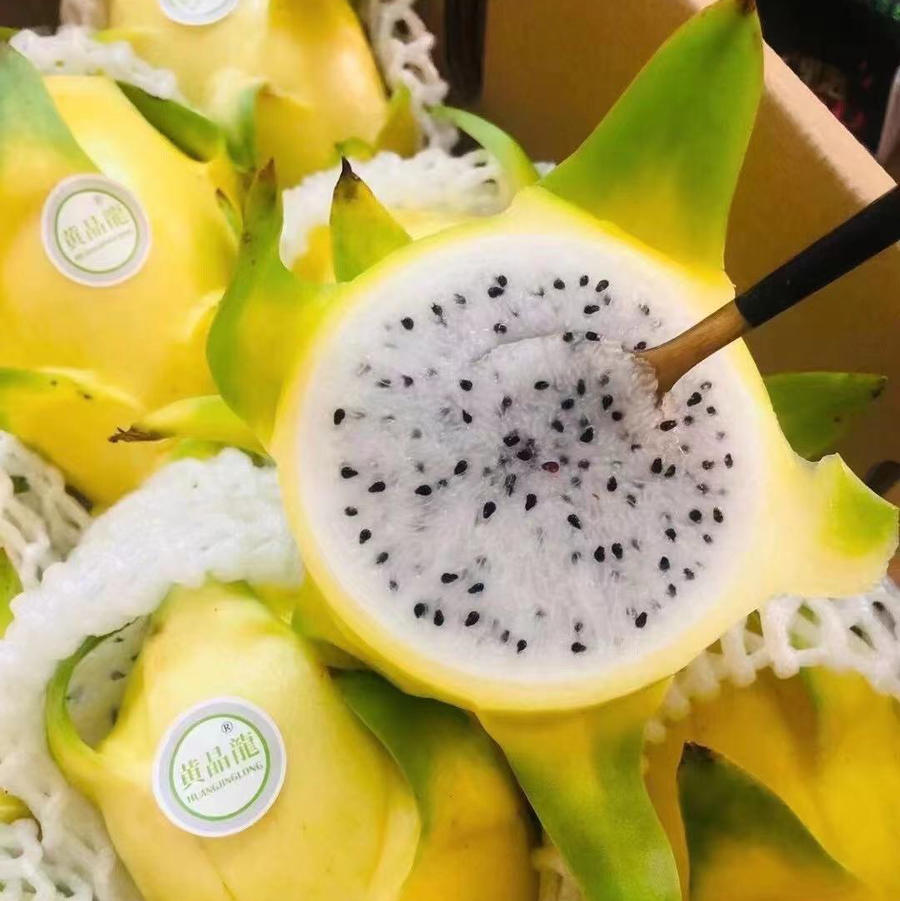 黄金火龙果 细嫩多汁酸甜可口【6-10个装】毛重约9斤,广西包邮