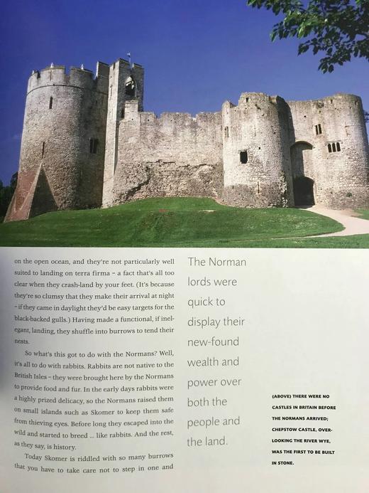 不列颠群岛自然史 约200幅插图 精装16开 商品图12