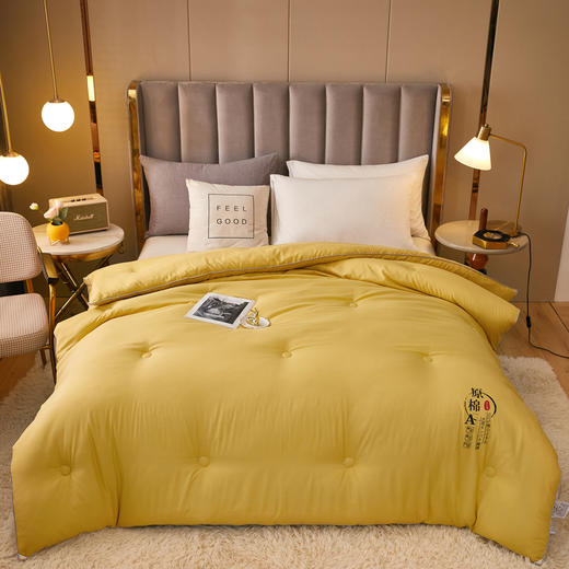 A类全棉大豆纤维被子冬被春秋被夏季空调被夏凉被芯四季通用单人双人棉被 商品图6