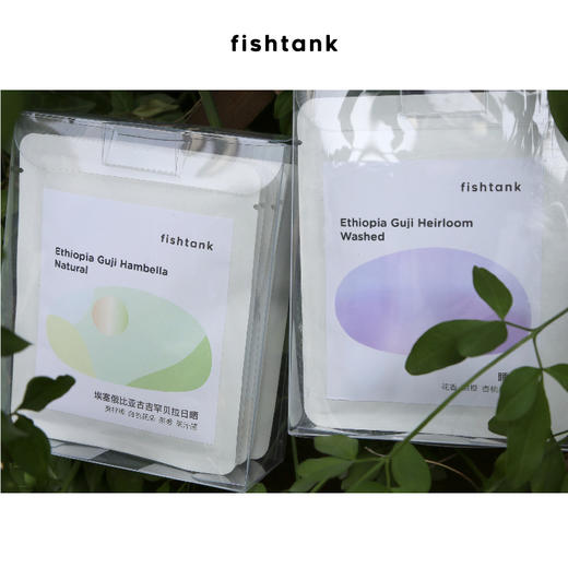 埃塞组合挂耳水洗+日晒10包装 10g/包 商品图4