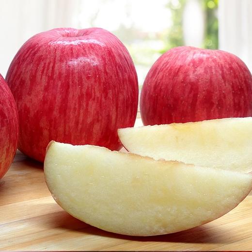 洛川苹果10斤装 商品图1