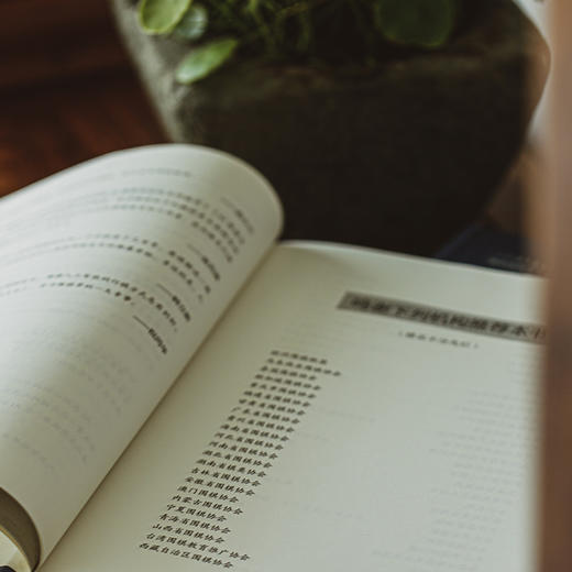 精装版：江维杰主编 AI 围棋定式大全 世界冠军力荐 商品图5