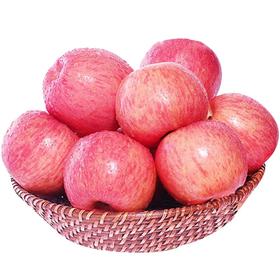 洛川苹果10斤装