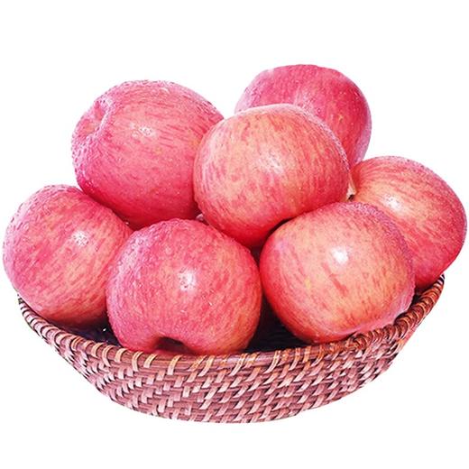 洛川苹果10斤装 商品图0