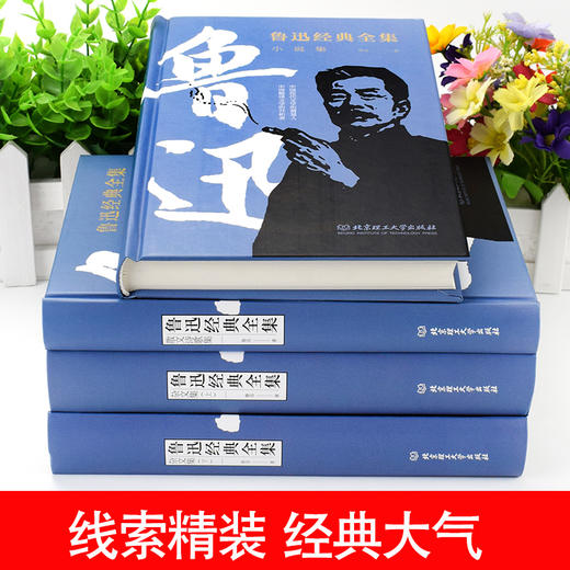 鲁迅小说全集4册 诗歌集杂文作品集无删减原著经典必读书籍小学生鲁迅读本朝花夕拾呐喊正版散文大全集中国现代文学精选精装完整版 商品图2