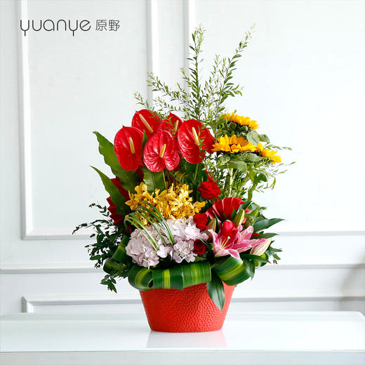 （10款可选）百合红掌鲜花生日节日瓶花婚庆乔迁礼品鲜花开业商务 商品图0
