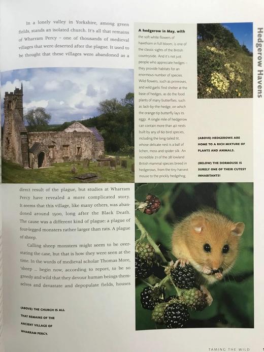 不列颠群岛自然史 约200幅插图 精装16开 商品图11