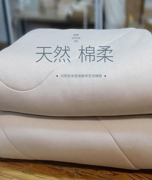 【产地直发包邮】乐坊—冬被（单人和双人） 商品图0
