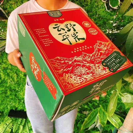 【云野苹果】10-12枚/约5斤 云南高原原生态苹果 商品图4