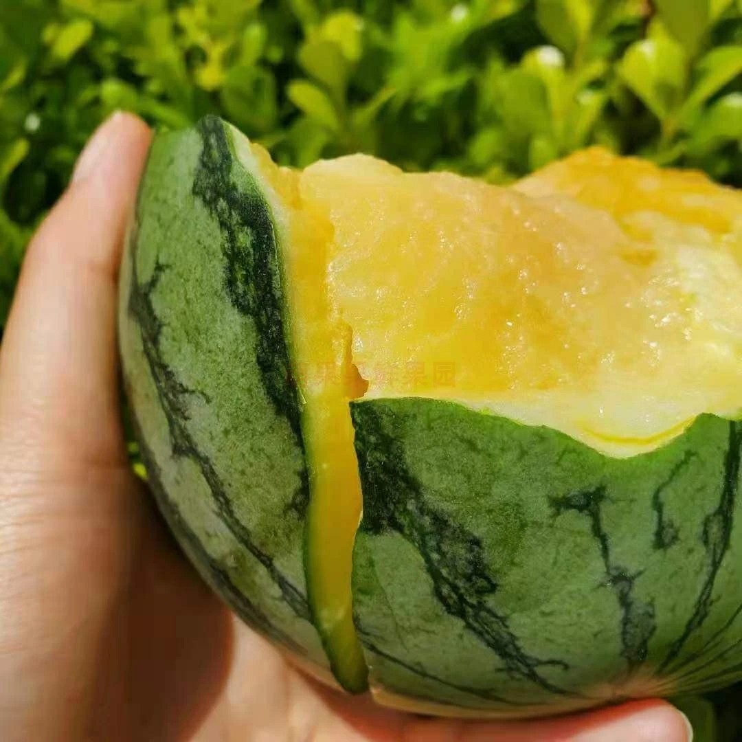 李子妃冰淇淋西瓜 4.5-5.5斤两枚装