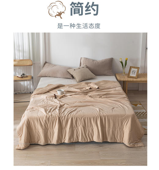 【产地直发包邮】乐坊—春秋被（单人和双人） 商品图1