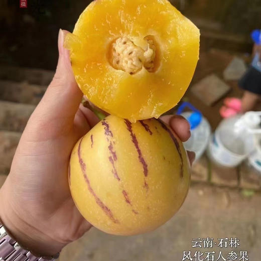 云南七彩人参果 商品图3