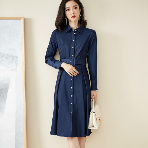 剩S 米思阳衬衫连衣裙秋季新款气质休闲收腰显瘦纽扣长款大摆裙子1579 商品图0