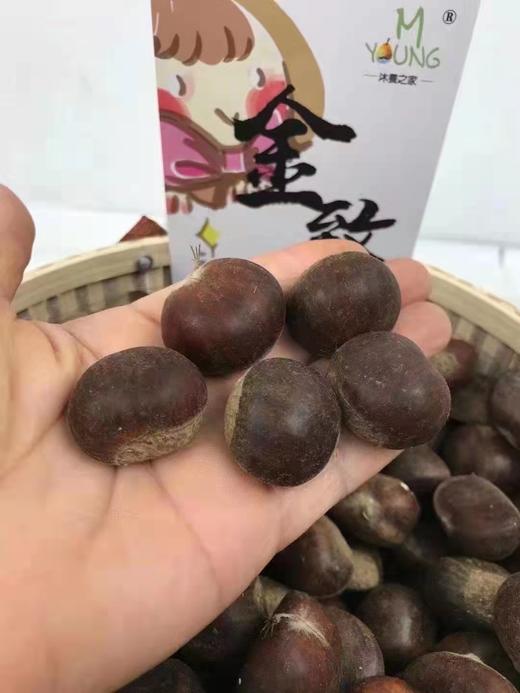 ​🍀秋风起，板栗香❗️【迁西生板栗】颗颗精选✨，粒粒金黄，金灿灿的栗仁入口，香甜软糯，✅板栗可生吃，也可熟食👏生吃甘甜清脆，煮熟或炒熟的板栗，香甜软糯，美味可口！ 商品图6