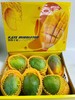 【凯特大芒果5-6颗装】 精品礼盒装  个儿大、肉多、 香甜 商品缩略图1