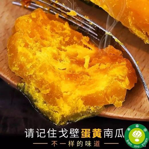有机板栗南瓜 贵族南瓜 | 皮薄、瓤沙、粉面、甜糯  | 基地直发包邮*Organic Chestnut Pumpkin 商品图5