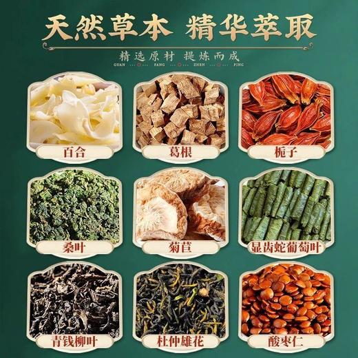 【无惧酸高】仁和菊苣青酸茶天然草本精华萃取辅助调节绛尿酸茶30包/盒 商品图2
