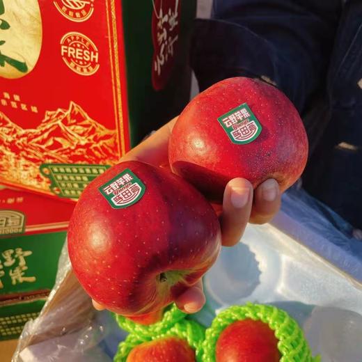【云野苹果】10-12枚/约5斤 云南高原原生态苹果 商品图3