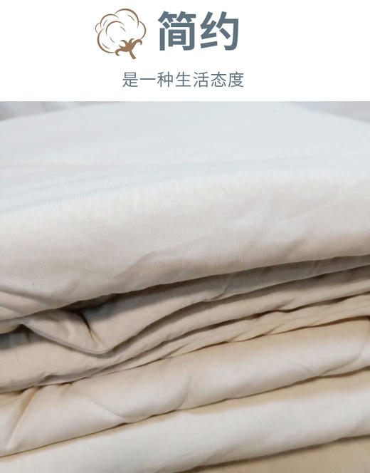 【产地直发包邮】乐坊—冬被（单人和双人） 商品图1
