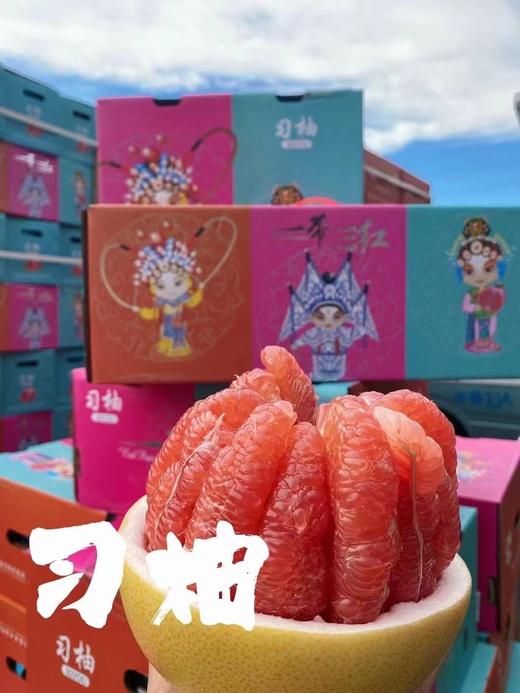 【习柚三红柚礼盒】3头/箱，来自核心产区 商品图8