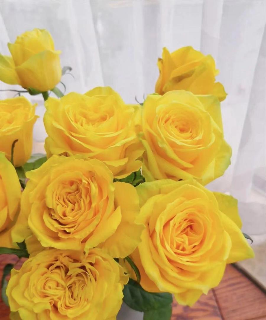 【限量福利】昆明玫瑰 月光漫步 20支/扎 bc级