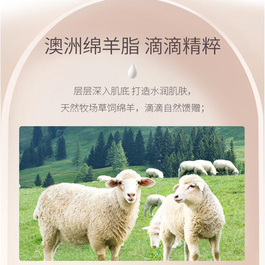 【拍1发3】奥兰诺澳洲 绵羊盈润保湿霜140g 商品图1