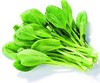 【农场发货】六里地现采鸡毛菜300g 商品缩略图0