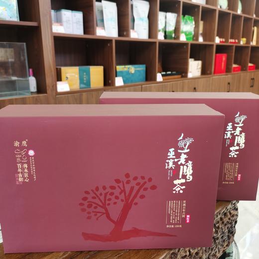 重庆巫溪老鹰茶市级非遗百年古树茶代茶清凉解渴茶饮 商品图2