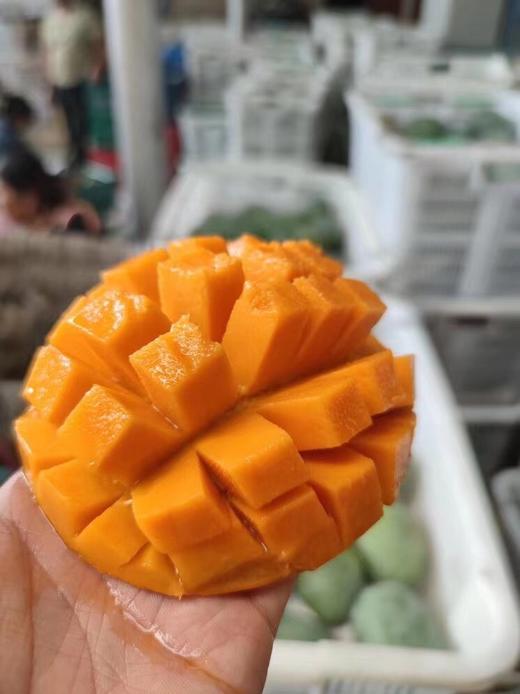 【凯特大芒果5-6颗装】 精品礼盒装  个儿大、肉多、 香甜 商品图10