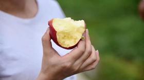 【云野苹果】10-12枚/约5斤 云南高原原生态苹果