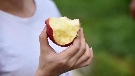 【云野苹果】10-12枚/约5斤 云南高原原生态苹果 商品图0