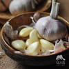 生态大蒜 | 合作生产*Eco-garlic | Coproduction 商品缩略图0