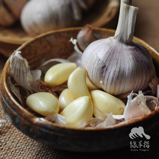 生态大蒜 | 合作生产*Eco-garlic | Coproduction 商品图0