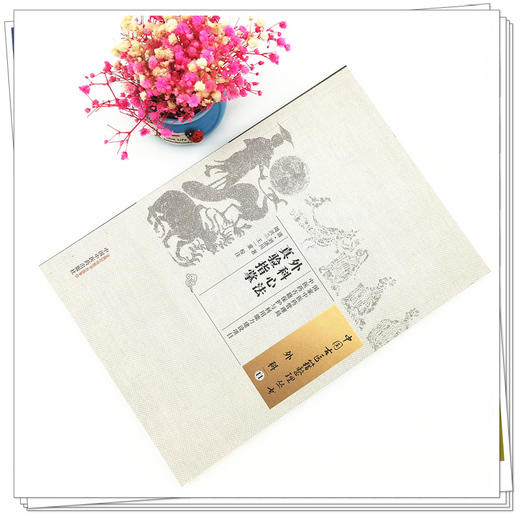 【出版社直销】外科心法真验指掌（中国古医籍整理丛书）(清) 刘济川 著 周兴兰 王一童 校注 中国中医药出版社 商品图2