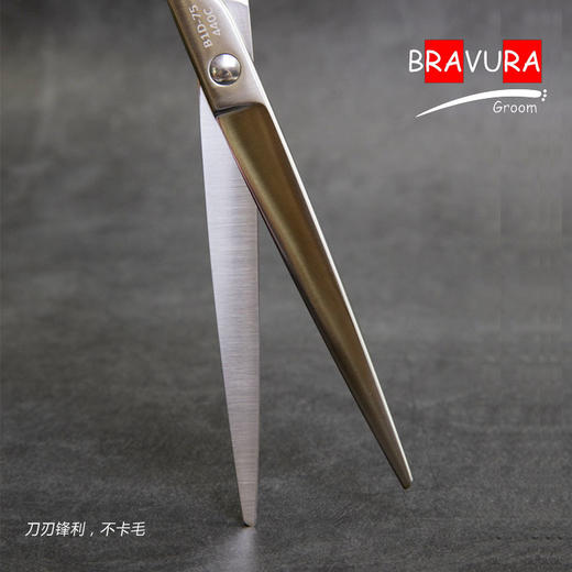 综合直剪 B1D-70 意大利BRAVURAGROOM宠物美容 B系列 商品图4