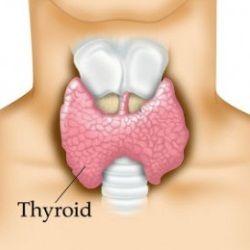 生机饮食 | 甲状腺功能亢进的食疗推荐 