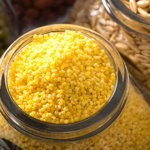 素食猫泰来特产小米5kg 商品图3