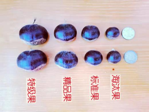 鲜板栗 2022 商品图2