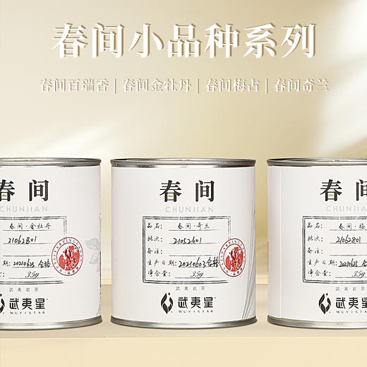 武夷星 春间 小品种 奇兰 35g 商品图5