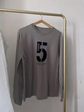 AVirex 秋款长袖男士灰色T恤M码