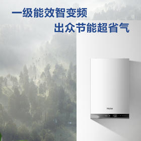 海尔（Haier）壁挂炉LL1PBD35-HN1(T)U1